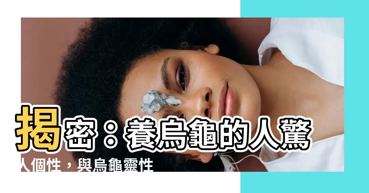 【養烏龜的人 個性】揭密：養烏龜的人驚人個性，與烏龜靈性契合度大揭密