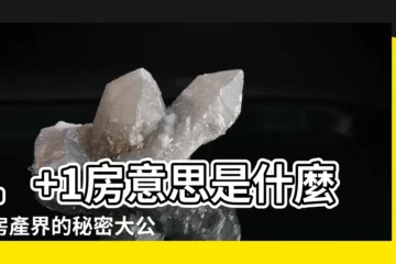 【1 1房意思】1+1房意思是什麼？房產界的秘密大公開！