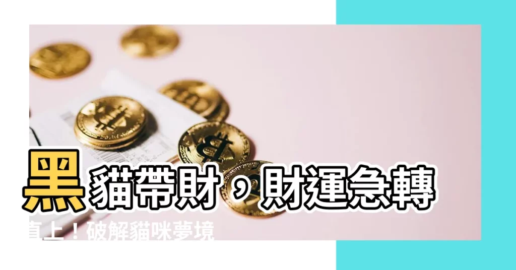 【黑貓財急變】黑貓帶財，財運急轉直上！破解貓咪夢境中預示的財富密碼