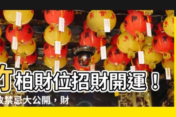 【竹柏財位】竹柏財位招財開運！擺放禁忌大公開，財富滾滾來