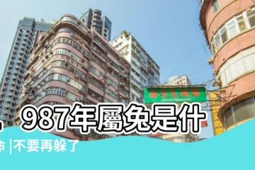 【1987年是什麼命年份】1987年屬兔是什麼命 |不要再躲了 |1987年出生是什麼命 |