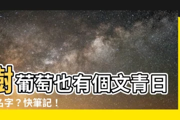【樹葡萄 日文】樹葡萄也有個文青日文名字？快筆記！
