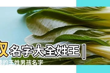 【王姓王的好聽的名字大全男孩】取名字大全姓王 |好聽的王姓男孩名字大全 |王姓好聽的名字 |