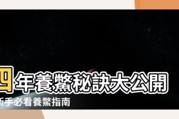 【養鱉】四年養鱉秘訣大公開！新手必看養鱉指南，讓你的小鱉健康成長