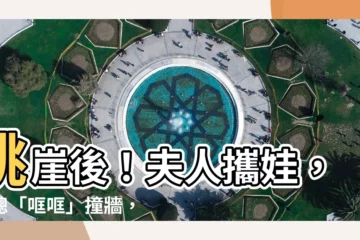【夫人跳崖後 蕭總抱娃哐哐撞大牆】跳崖後！夫人攜娃，蕭總「哐哐」撞牆，震驚眾人！