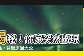 【為什麼家裡有蚱蜢】揭秘！你家突然出現蚱蜢，背後原因大公開！
