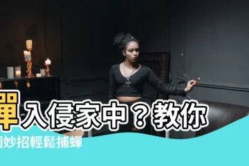【家裡有蟬怎麼辦】蟬入侵家中？教你 5 個妙招輕鬆捕蟬！