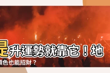 【地墊顏色】提升運勢就靠它！地墊顏色也能招財？