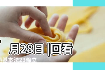 【2018年7月28日特殊意義】7月28日 |回看香港基本法23條立法曾經引發的重大爭議 |新疆再教育營 |