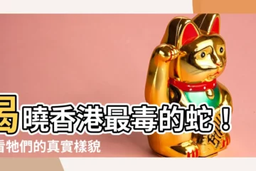 【香港最毒的蛇】揭曉香港最毒的蛇！快看牠們的真實樣貌！