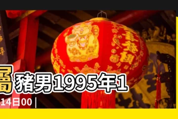 【1995年屬豬十二月14日】屬豬男1995年12月14日00 |1995年12月14日出生的人生辰八字測算 |1995年12月14日出生日期看命運 |