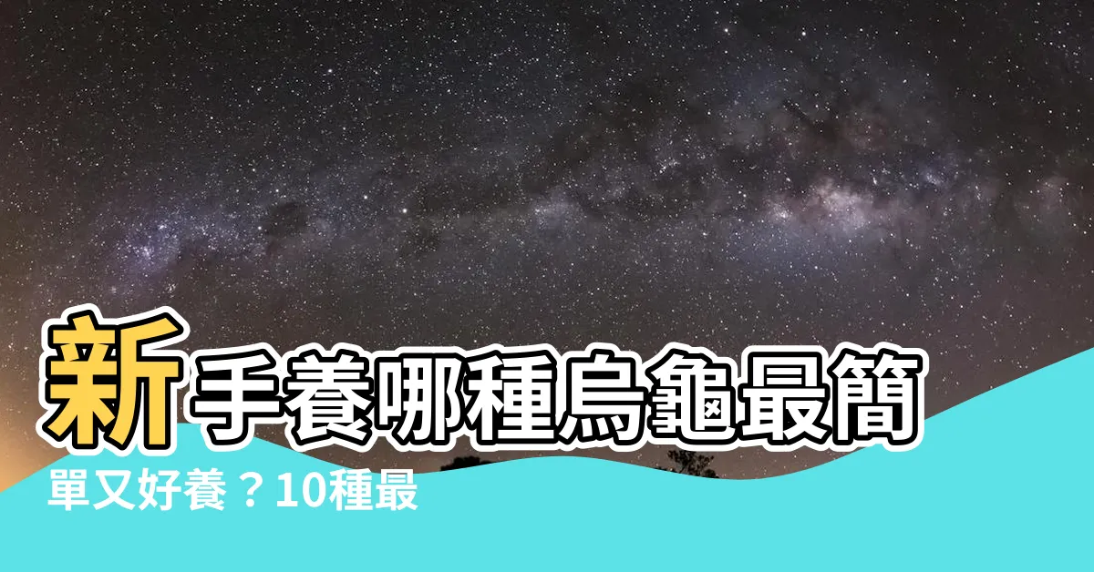 【什麼龜最好養】新手養哪種烏龜最簡單又好養？10種最適合新手的龜鼓把關!