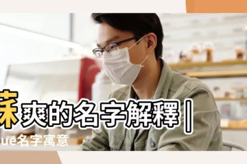 【蘇什麼?h姓名】蘇爽的名字解釋 |蘇Sue名字寓意 |蘇的意思 |