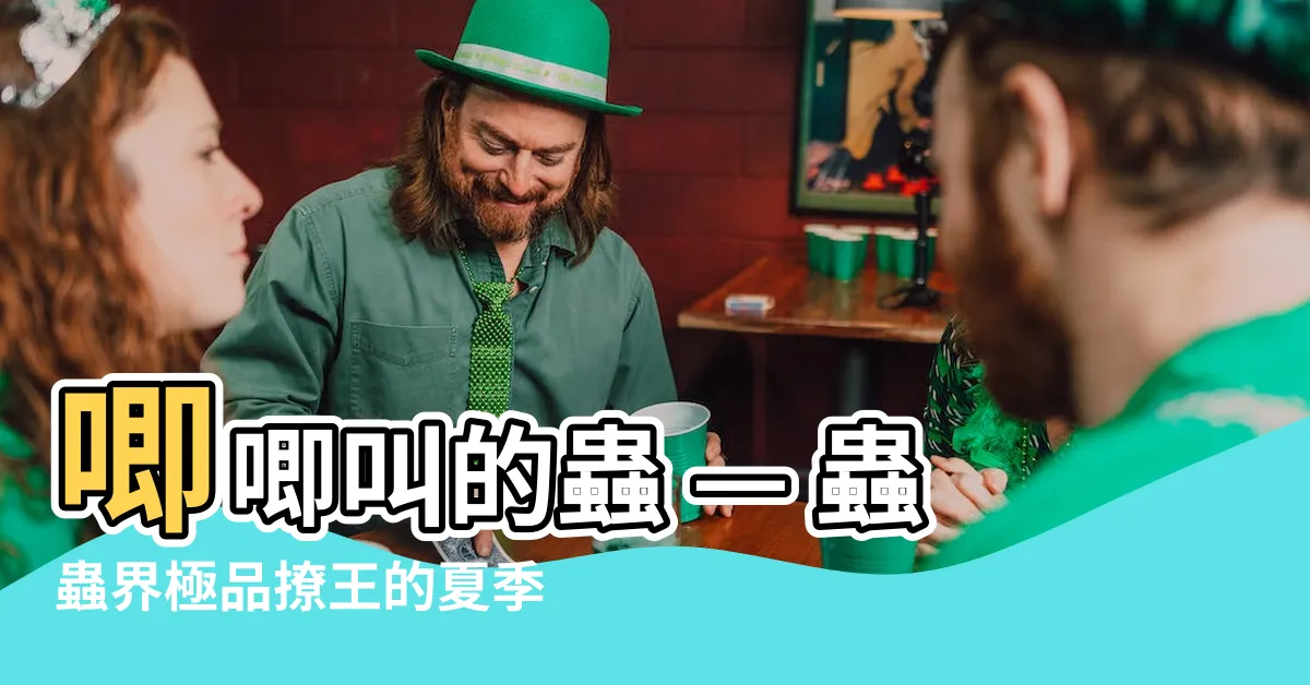 【唧唧叫的蟲】唧唧叫的蟲 — 蟲蟲界極品撩王的夏季情歌