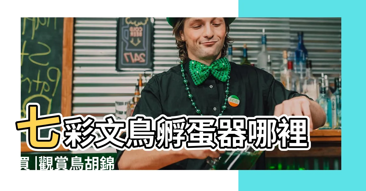 【七彩文鳥飼養】七彩文鳥孵蛋器哪裡買 |觀賞鳥胡錦 |手把手教你人工孵化飼養 |