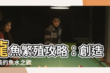 【龍魚繁殖】龍魚繁殖攻略：創造完美的魚水之歡