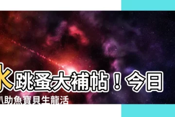 【水跳蚤】水跳蚤大補帖！今日開趴助魚寶貝生龍活虎