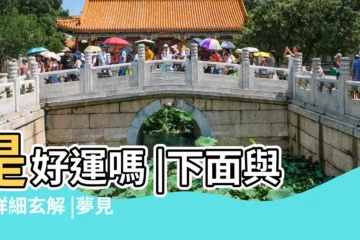 【周公解夢夢到龍吃樹葉】是好運嗎 |下面與你詳細玄解 |夢見龍有什麼預兆 |