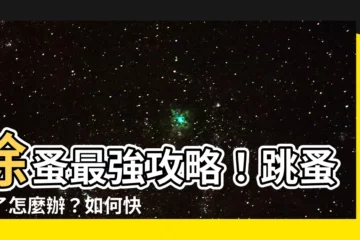 【如何解決跳蚤】除蚤最強攻略！跳蚤咬了怎麼辦？如何快速擺脱跳蚤的糾纏？