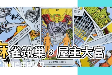 【麻雀築巢】麻雀築巢，屋主大富貴？揭開百年傳説的科學真相！