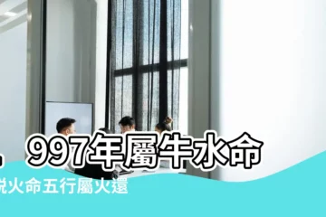 【1997年五行】1997年屬牛水命又説火命五行屬火還是屬水 |1997年五行屬什麼 |1997年屬牛水命又説火命五行屬 |