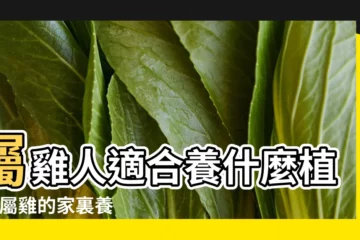 【屬雞 合適養什麼花】屬雞人適合養什麼植物 |屬雞的家裏養什麼花最旺財 |屬雞養什麼花最合適 |