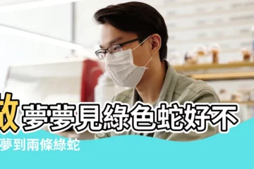 【夢見好多綠色的兩條蛇】做夢夢見綠色蛇好不好 |夢到兩條綠蛇是什麼意思 |夢到好多綠蛇是什麼意思 |