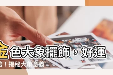 【大象意義】金色大象擺飾，好運加倍！揭秘大象意義，風水擺放助旺運