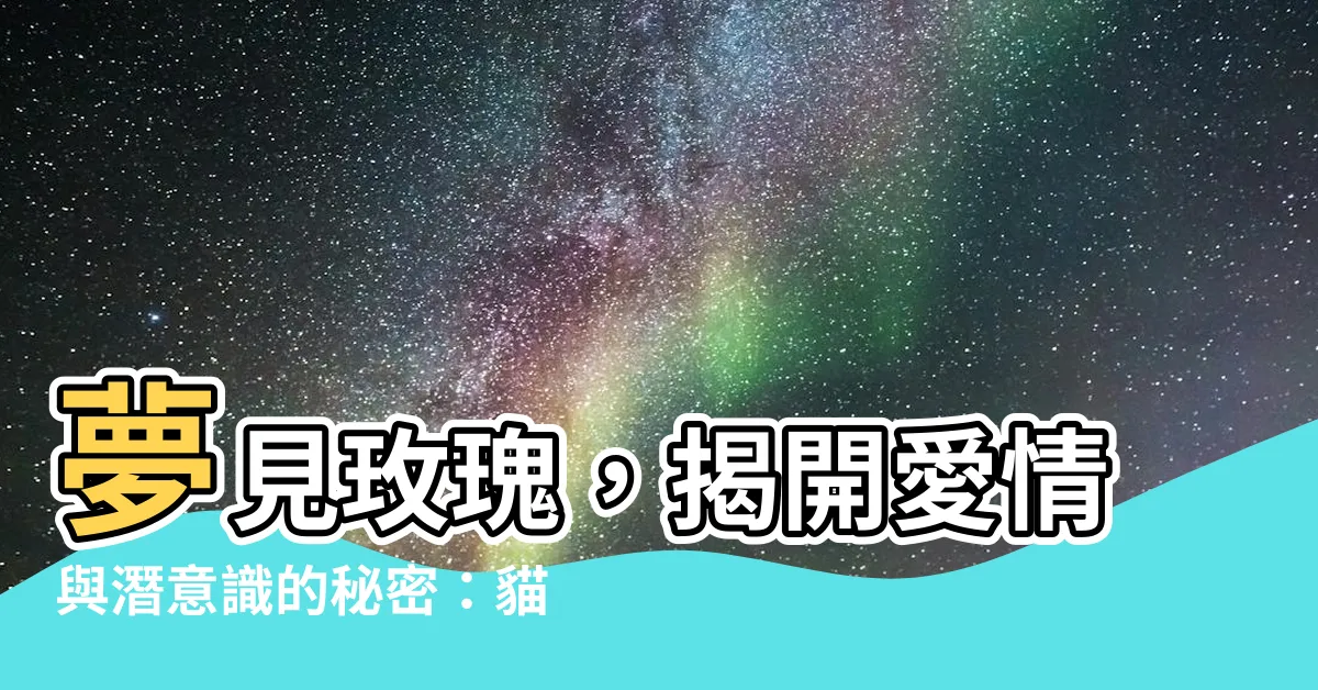 【夢見玫瑰】夢見玫瑰，揭開愛情與潛意識的秘密：貓、狗、蛇象徵意義