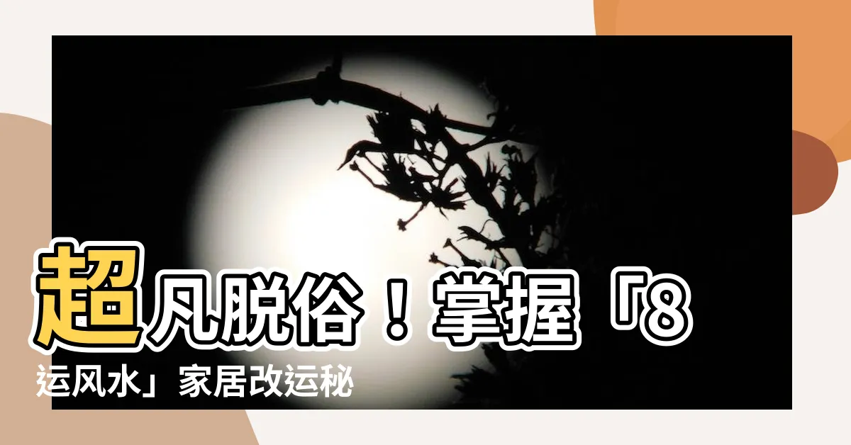 【8運風水】超凡脱俗！掌握「8運風水」家居改運秘籍！
