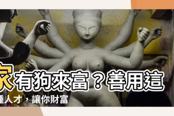 【狗來富】家有狗來富？善用這三種人才，讓你財富旺旺來！