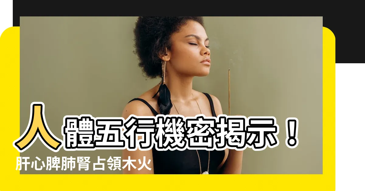 【肝心脾肺腎木火土金水】人體五行機密揭示！肝心脾肺腎佔領木火土金水