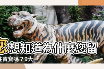 【怎麼樣會流產】您想知道為什麼您留不住寶寶嗎？9大「易流產」原因大解密