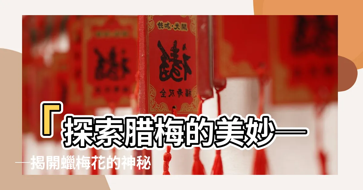 【臘梅】「探索臘梅的美妙──揭開蠟梅花的神秘面紗」
