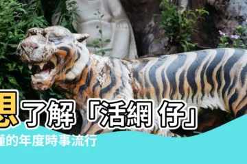 【活網 意思】想瞭解「活網 仔」才懂的年度時事流行語嗎？這篇告訴你！