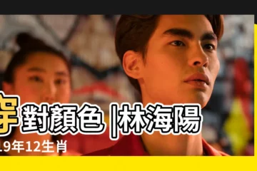 【2019年12生肖招財】穿對顏色 |林海陽2019年12生肖招財幸運色 |2019金豬年12生肖招財秘訣曝光 |