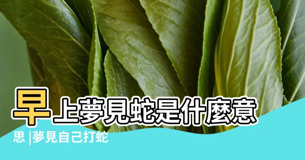 早上夢見蛇是什麼意思 |夢見自己打蛇 |早上夢見蛇 |【早上夢到打蛇】