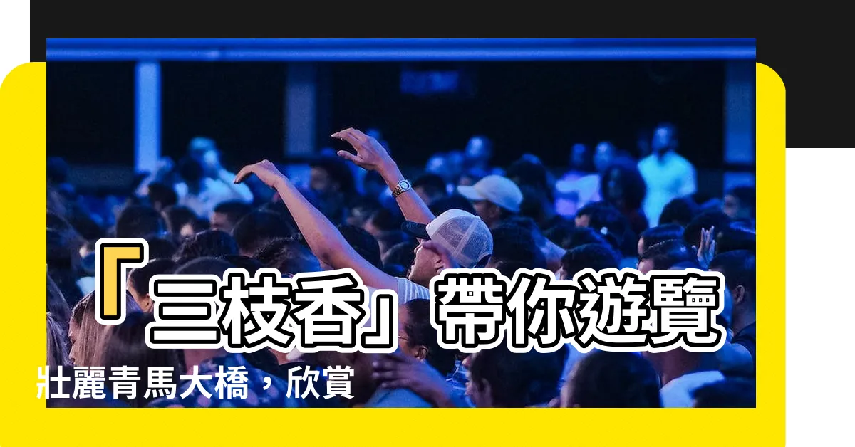 【三枝香】「三枝香」帶你遊覽壯麗青馬大橋，欣賞海景與美麗日落！