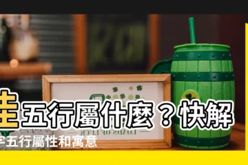 【佳五行屬什麼】佳五行屬什麼？快解佳字五行屬性和寓意！