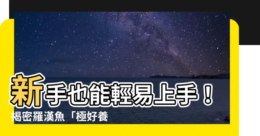 【羅漢魚好養嗎】新手也能輕易上手！揭密羅漢魚「極好養」的秘密
