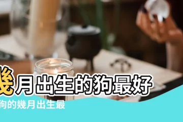 【屬狗的幾月的生日最好】幾月出生的狗最好 |屬狗的幾月出生最好 |屬狗的幾月出生最好 |