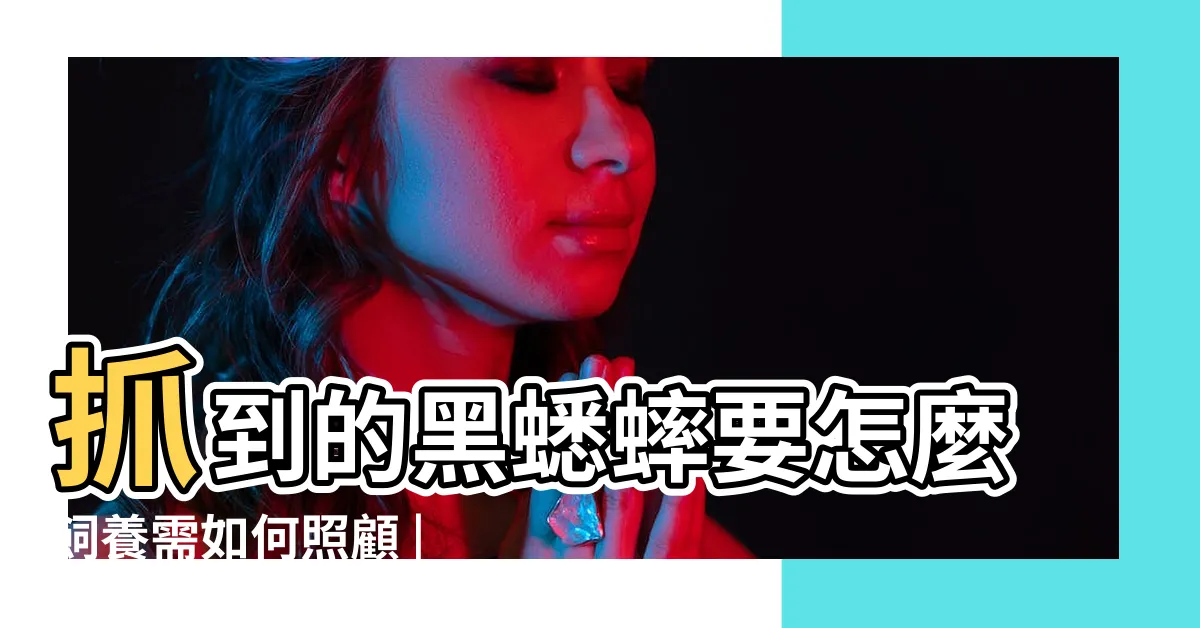 【蟋蟀來家裡】抓到的黑蟋蟀要怎麼飼養需如何照顧 |家裡有蟋蟀要不要弄死 |希望明天 |