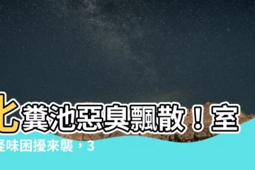 【化糞池在室內】化糞池惡臭飄散！室內怪味困擾來襲，3招有效化解