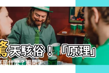 【原理是什麼】驚天駭俗！「原理」到底是什麼？揭開宇宙運行的驚人秘密！