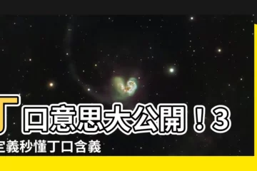 【丁口 意思】丁口意思大公開！3大定義秒懂丁口含義