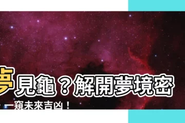 【夢見龜】夢見龜？解開夢境密碼，一窺未來吉凶！