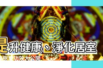 【樟樹葉功效】提升健康、淨化居室！樟樹葉功效大公開