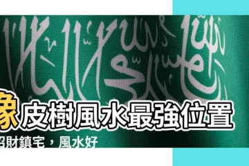 【橡皮樹風水】橡皮樹風水最強位置,招財鎮宅,風水好運到!
