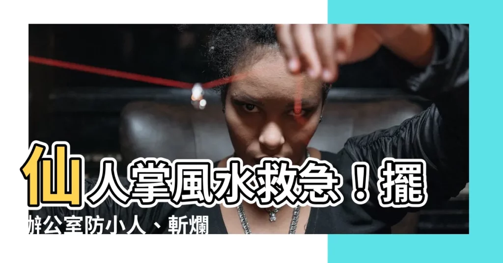 【仙人掌風水辦公室】仙人掌風水救急！擺辦公室防小人、斬爛桃花，招來好運氣