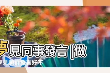 【夢到同事發言】夢見同事發言 |做夢夢見開會發言好不好 |